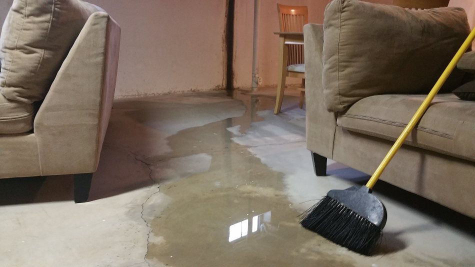 what to do if basement floods